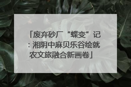 废弃砂厂“蝶变”记：湘阴中麻贝乐谷绘就农文旅融合新画卷
